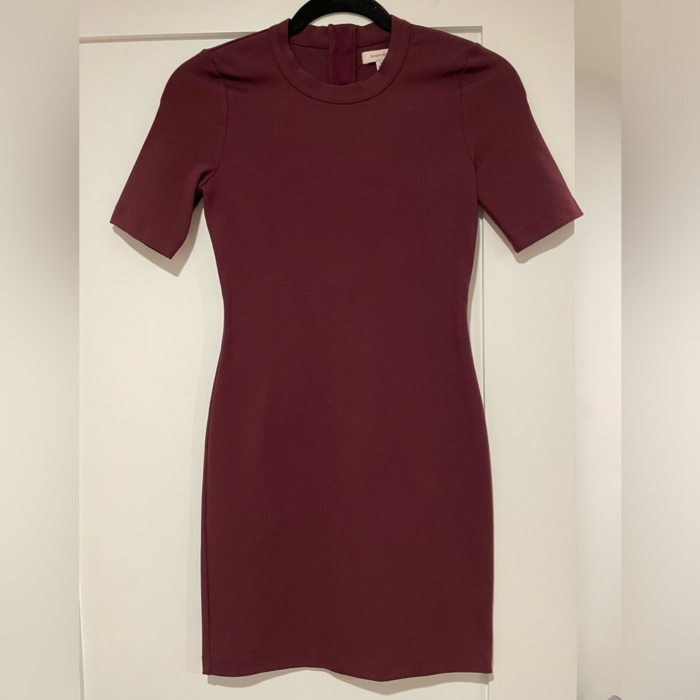 Aritzia Sunday Best Dress